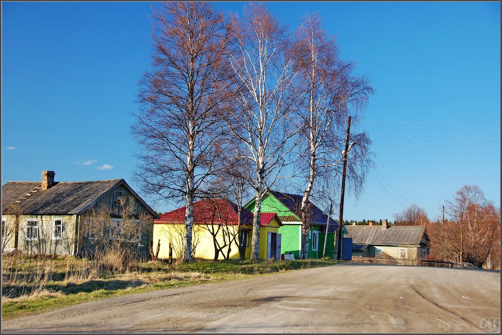 Вознесенье. Три берёзы
