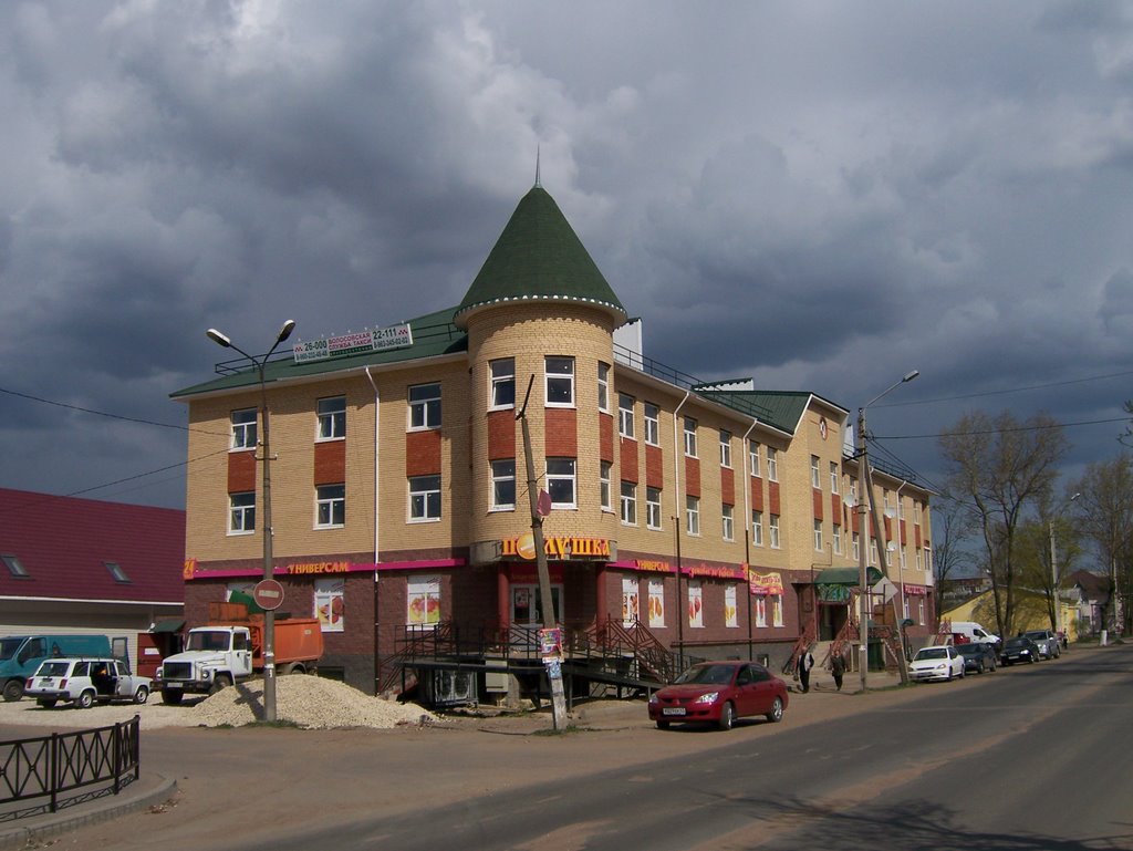 Волосово, пр. Вингиссара, 21   (07 мая 2009г)