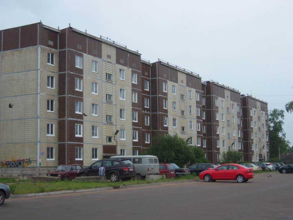 Volosovo near Hotel