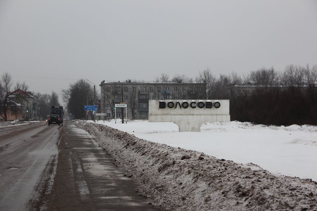 г. Волосово