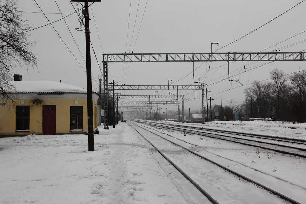 Станция Волосово