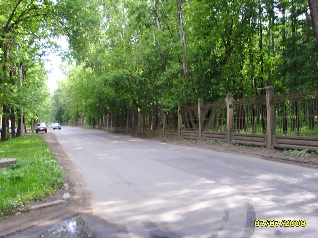 Дорога у парка Волхов-2