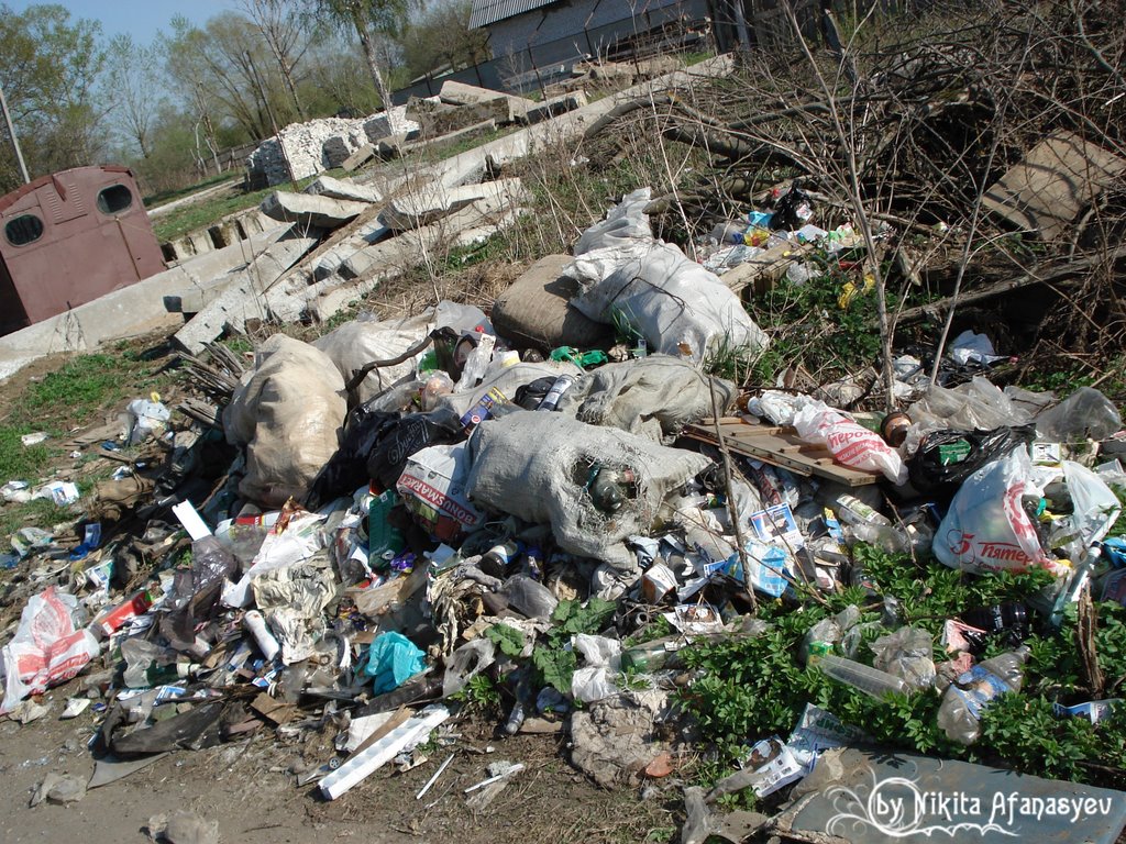Люди любят свой город