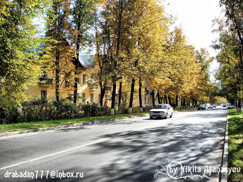 Улица Молодёжная (street Molodeznaya)