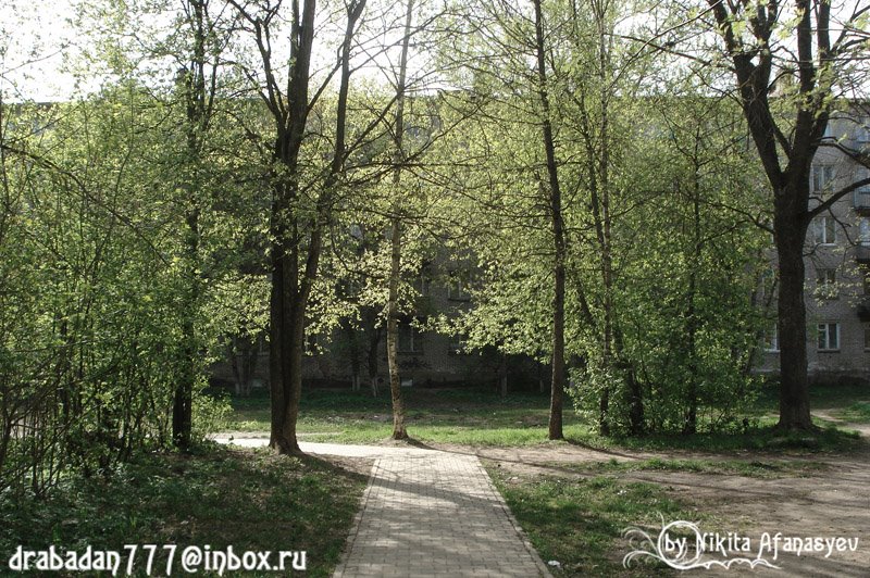Сквер около детской поликлиники на улице Авиационная (Park near the childrens clinic in the street Aviation)
