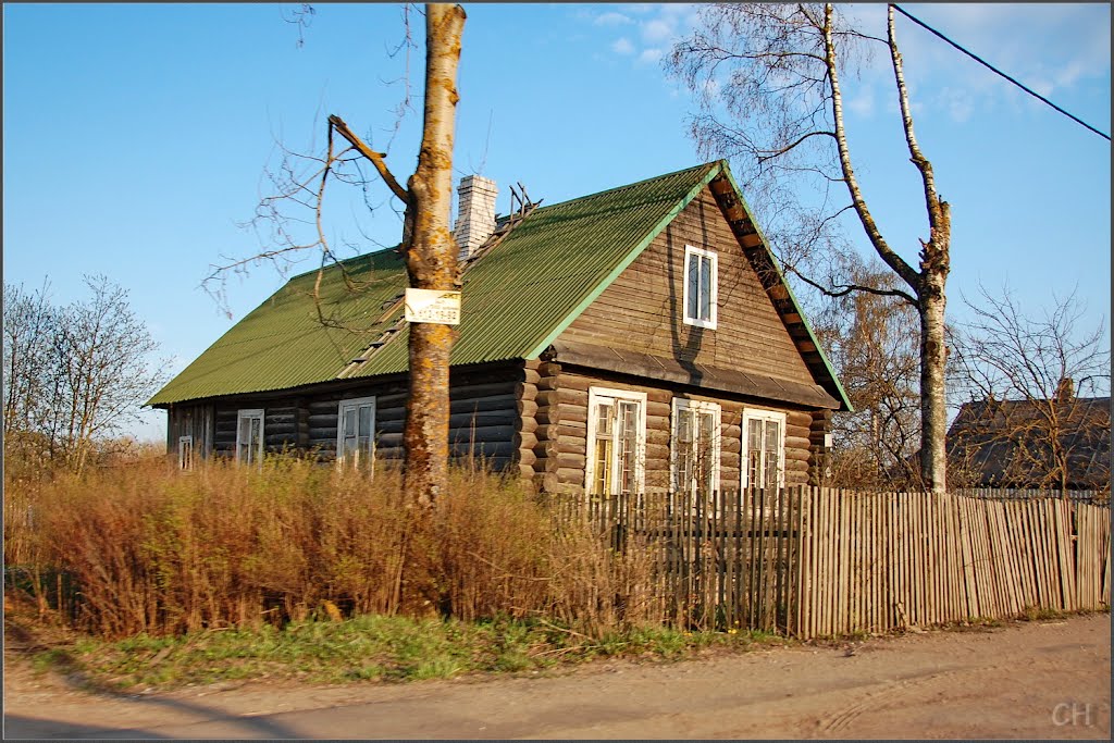 Волхов. Шкурина горка.