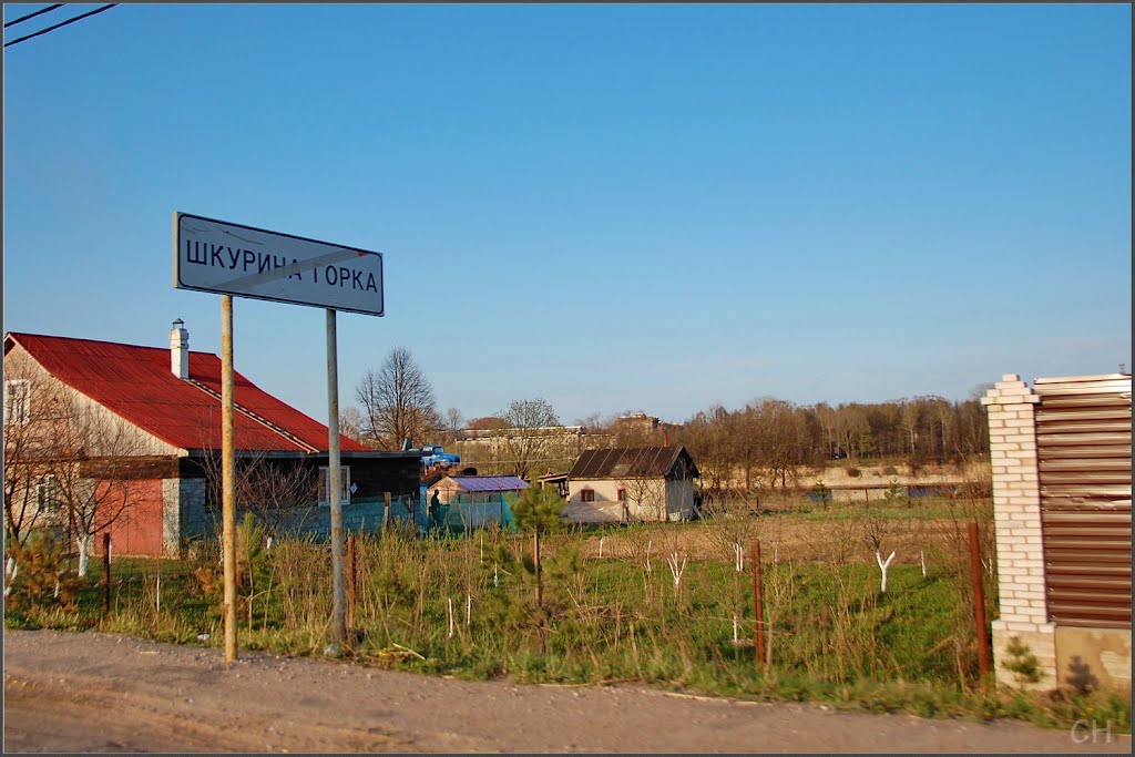 Волхов. Шкурина горка.