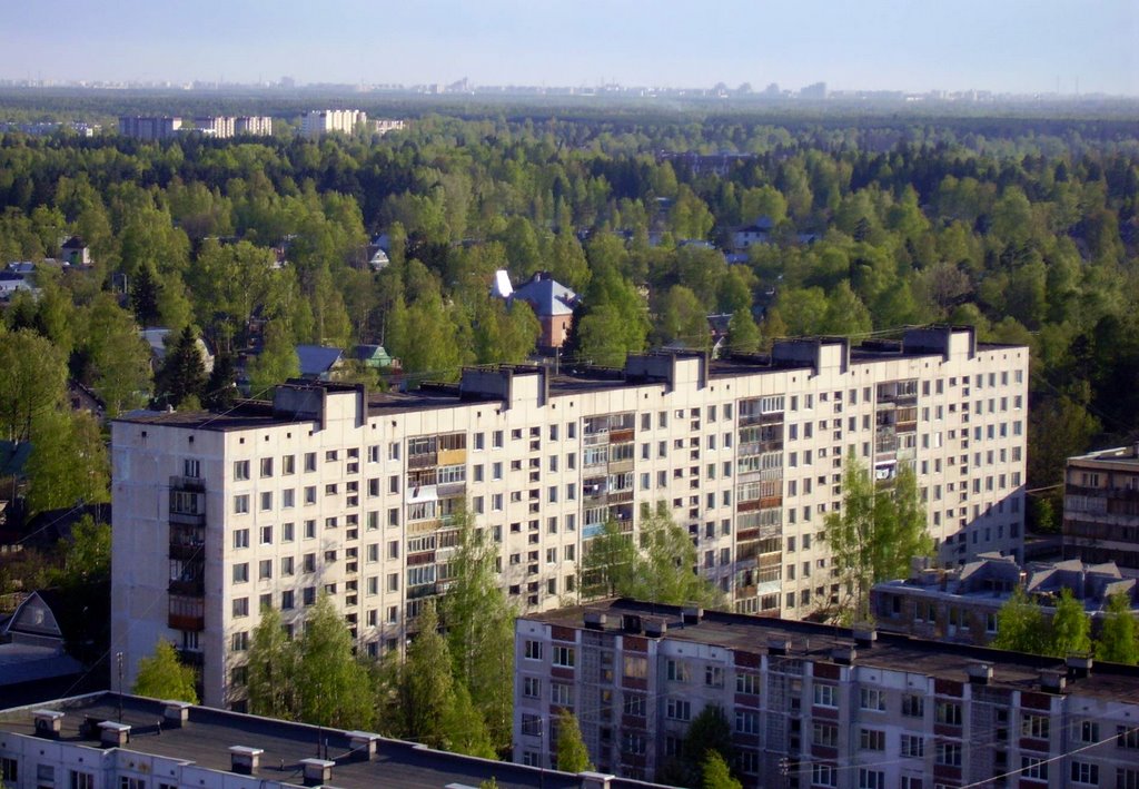 Всеволожск. 2006.05.14.