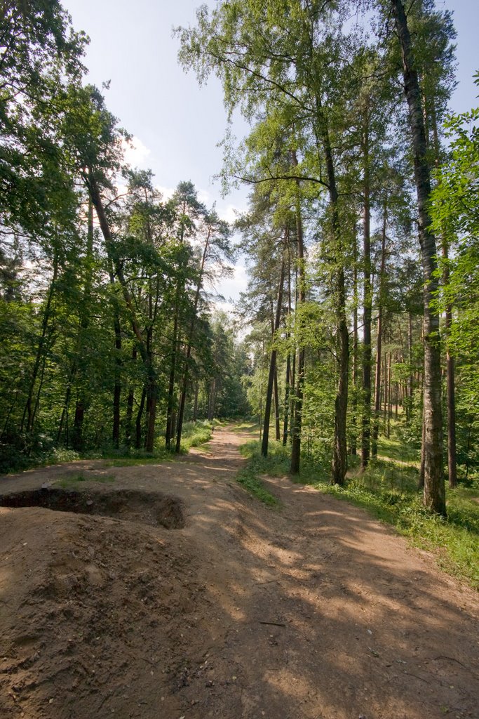Дорога Жизни.