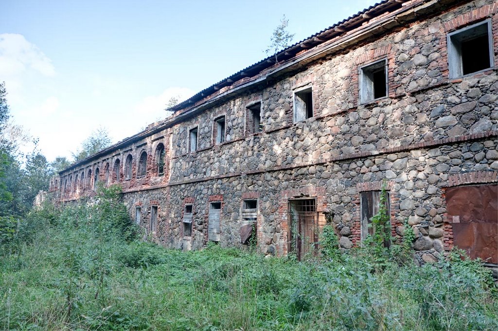 усадьба Всеволожских (Румболово); 12.09.2009