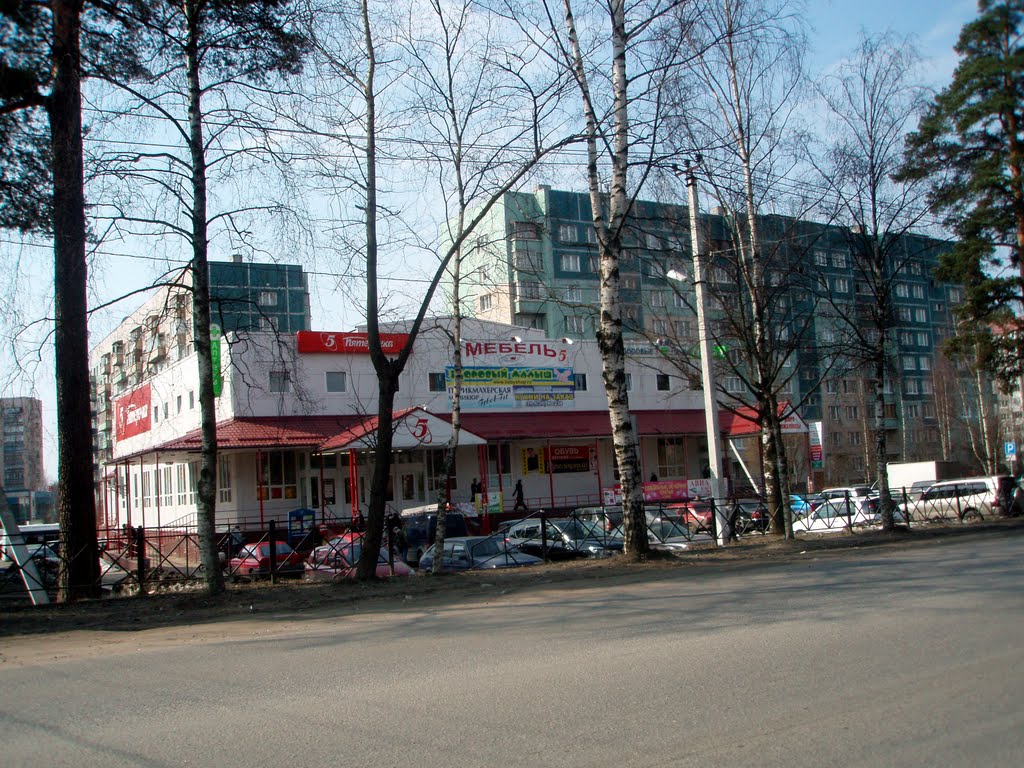 Универсам "Пятерочка" / Supermarket Pyatyorochka
