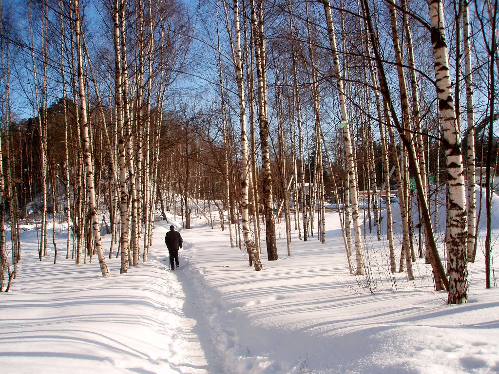 Зима / Winter