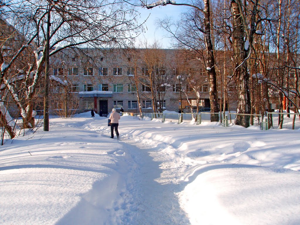Всеволожск. Зима 2010 г. / Vsevolozhsk. Winter of 2010.