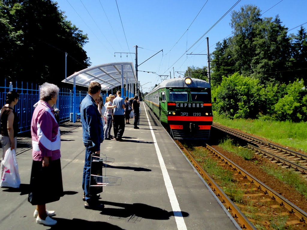 Vsevolozhskaya station / Станция Всеволожская