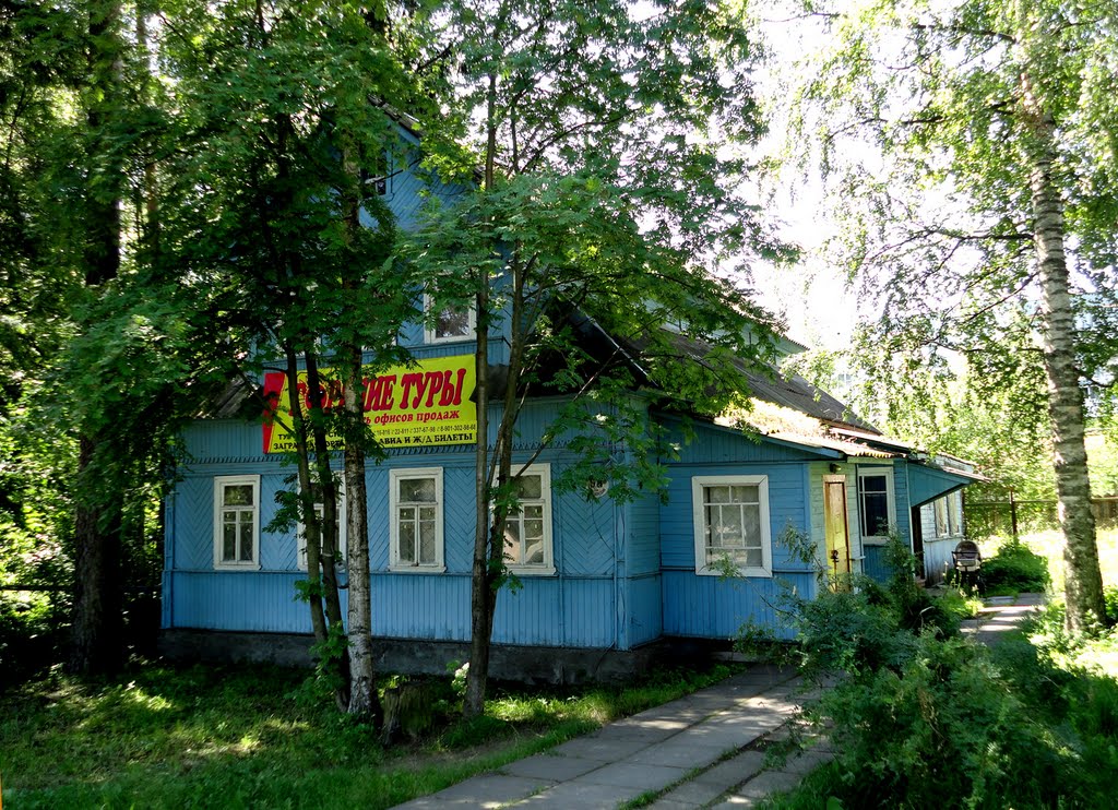 Old House / Старый дом