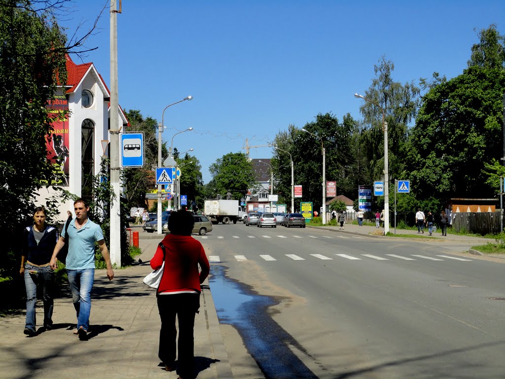 Vsevolozhsky av. / Всеволожский пр.