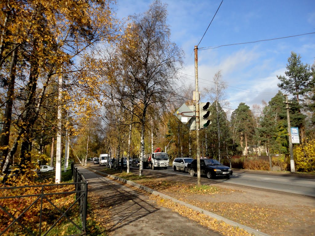 Autumn in Vsevolozhsk / Осень во Всеволожске