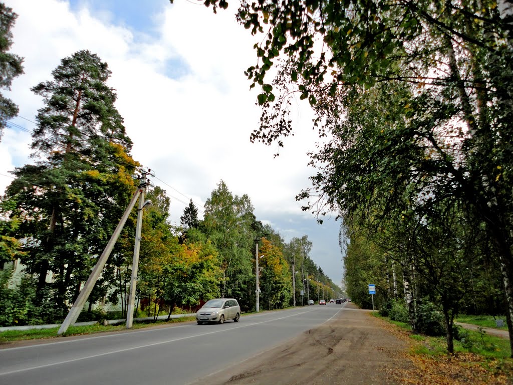 Koltyshy Highway / Колтушское шоссе