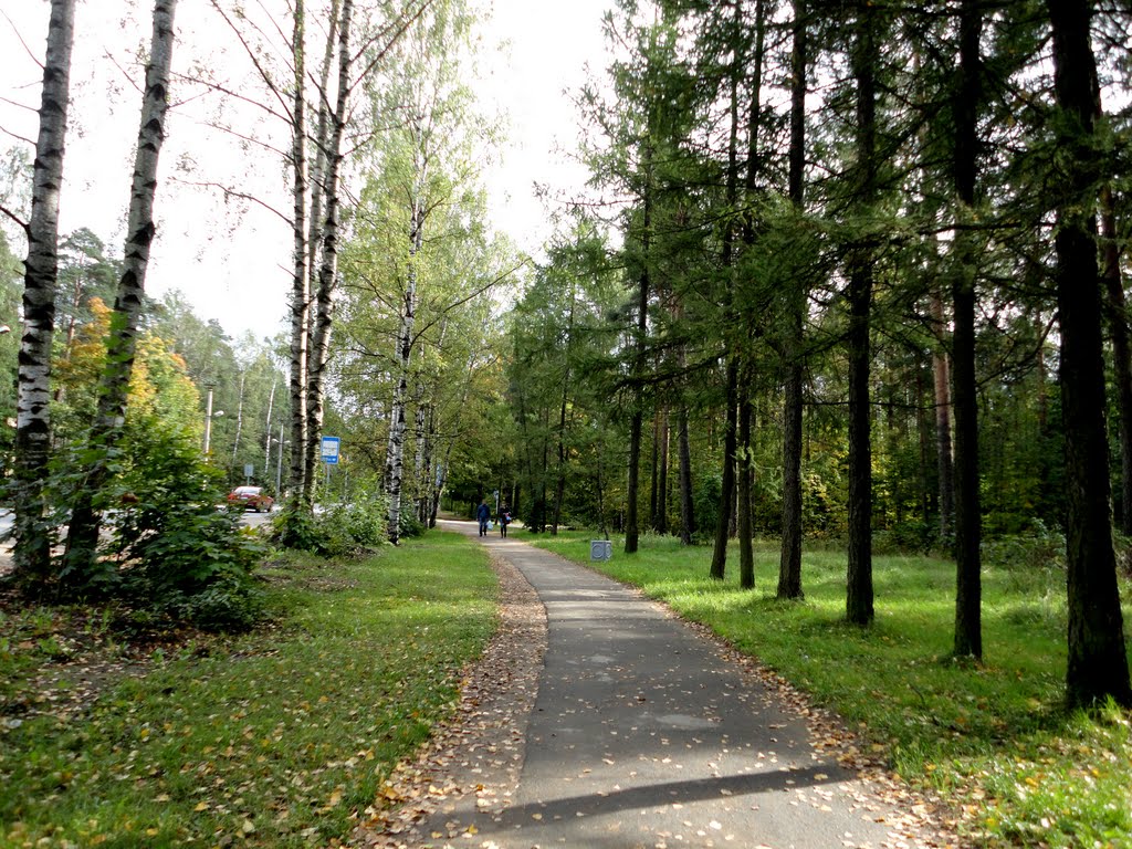 Koltyshy Highway / Колтушское шоссе