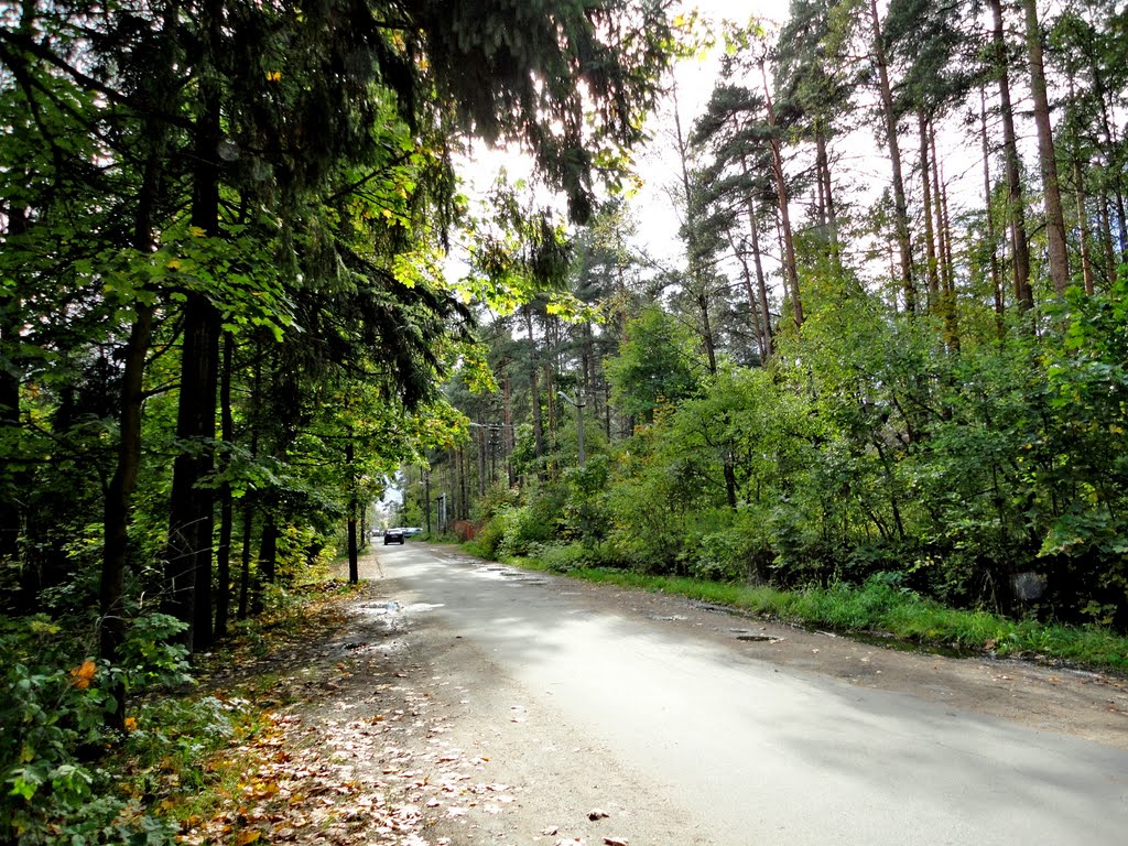 Vahrushev Lane / Переулок Вахрушева