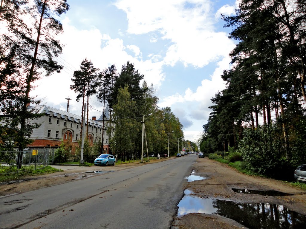 October ave. / Октябрьский проспект