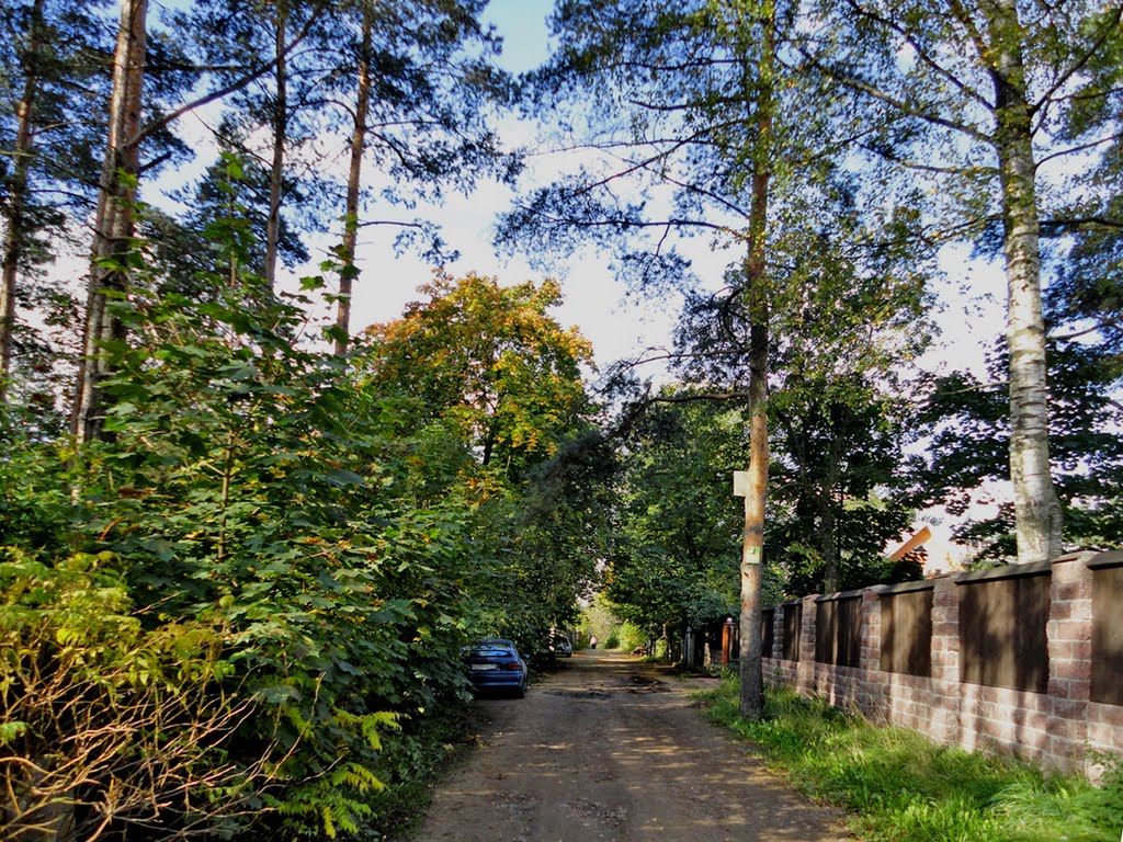 Road / Дорога