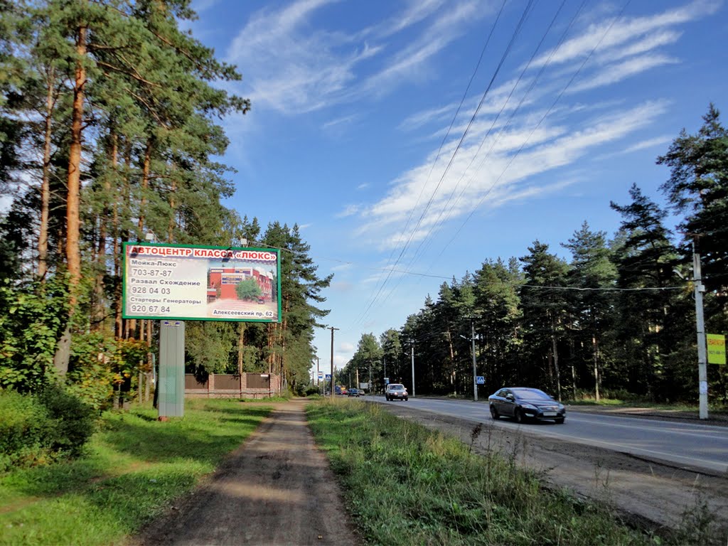Highway Koltushskoe / Колтушское шоссе