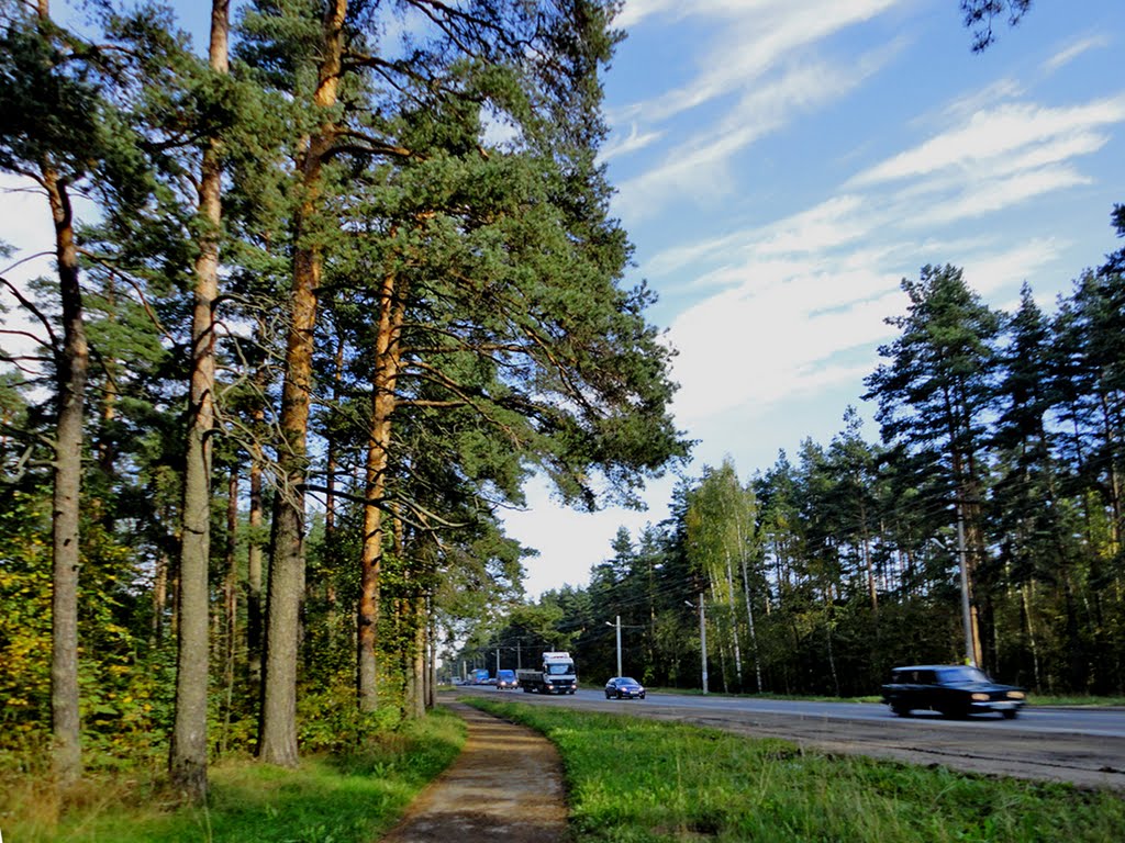 Highway Koltushskoe / Колтушское шоссе