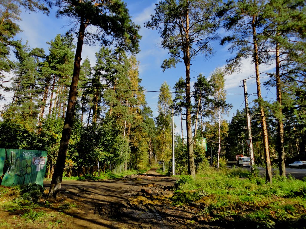 Highway Koltushskoe / Колтушское шоссе