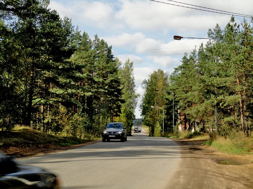 Road / Дорога