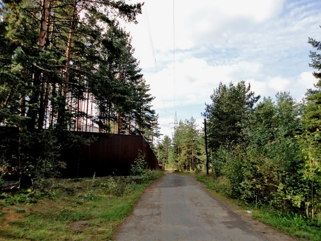 Road / Дорога