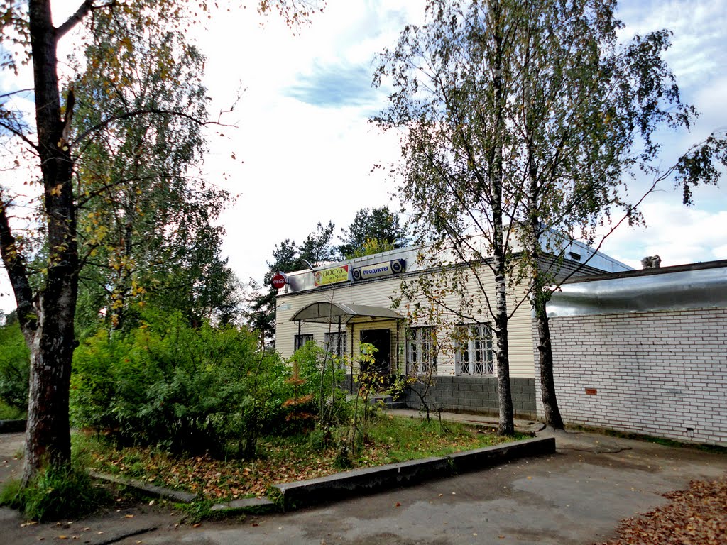 Roadside shop / Придорожный магазин