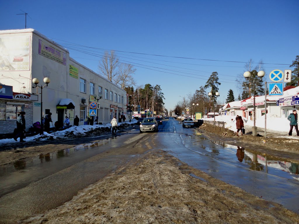 Vsevolozhsky ave. / Всеволожский просп.