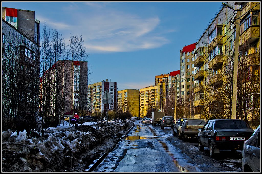 Vsevolozhsk. Vasileozerskaya str. / Всеволожск. Василеозерская ул.