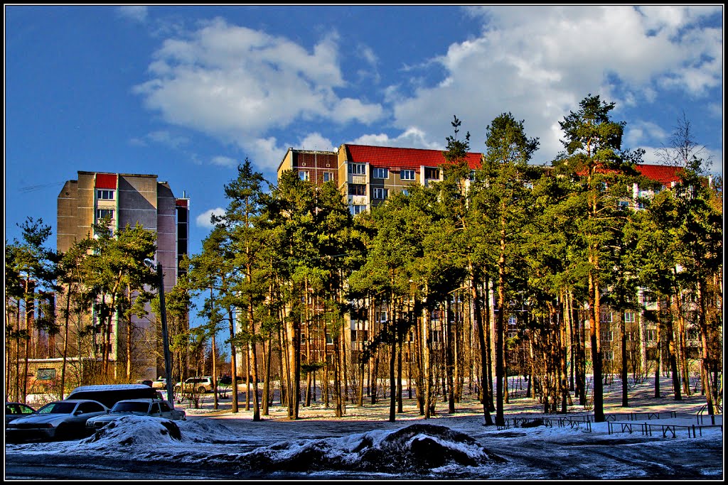 Vsevolozhsk / Всеволожск