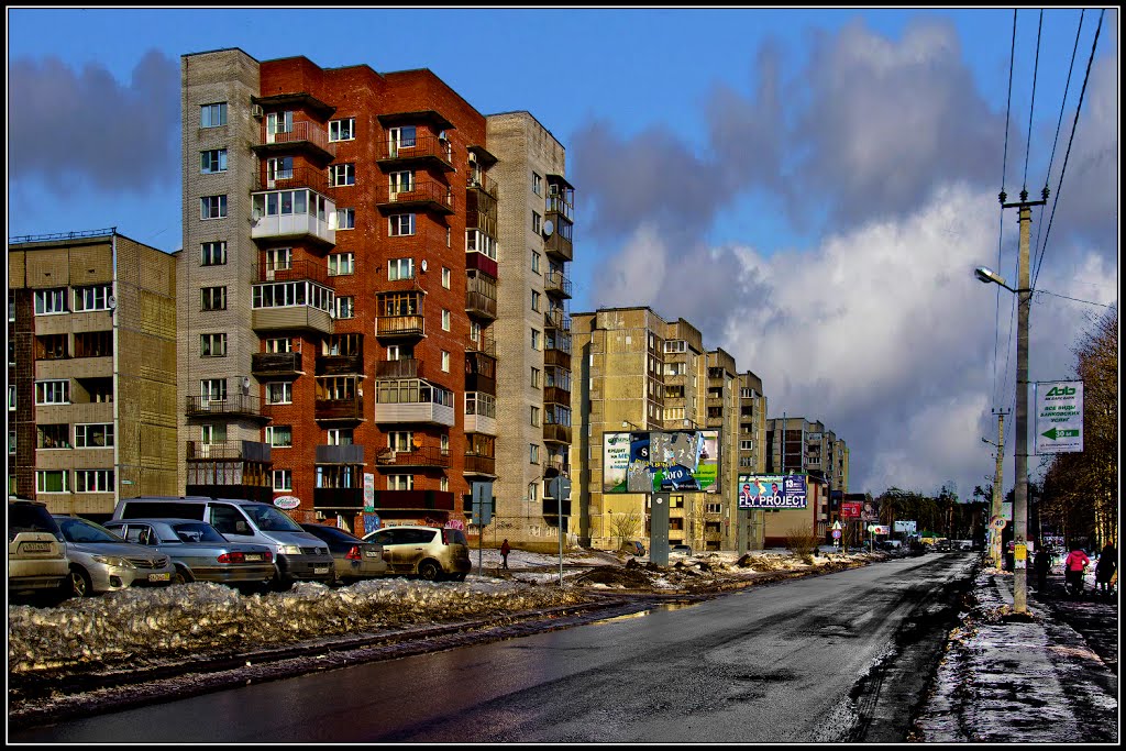 Vsevolozhsk. Leningradskaya str. / Всеволожск. Ул. Ленинградская.