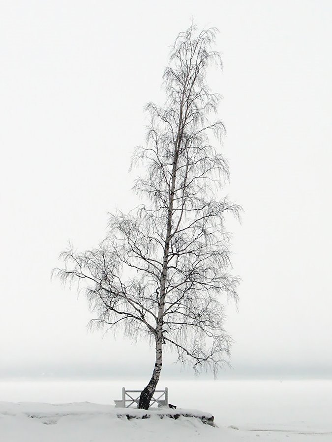 Vyborg. Magic Monrepo.