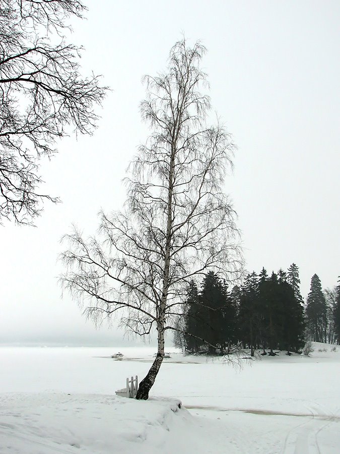 Vyborg. Magic Monrepo.