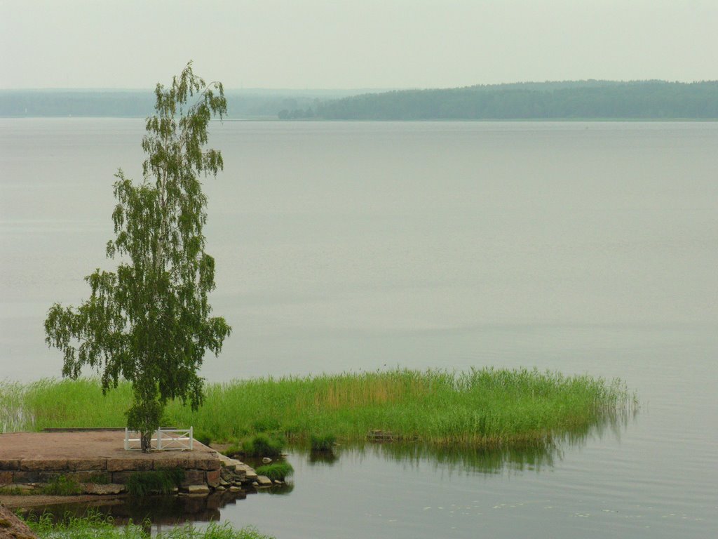 View to Zashchitnaya bay in Monrepo park