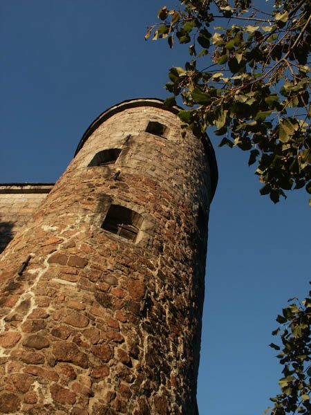 Vyborg