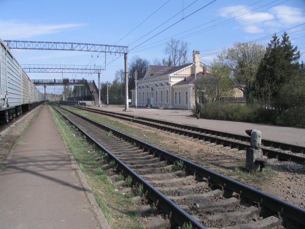 Дорога в СПб