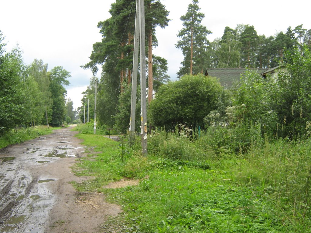 Ул. Бакунина
