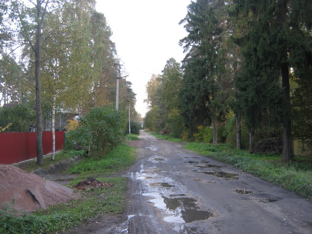 Вид в сторону шосссе