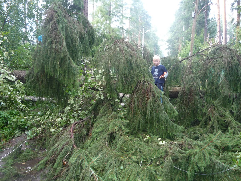 После урагана