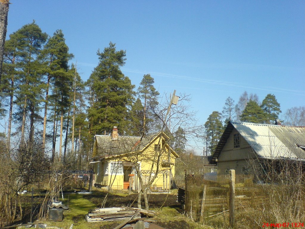 Дом