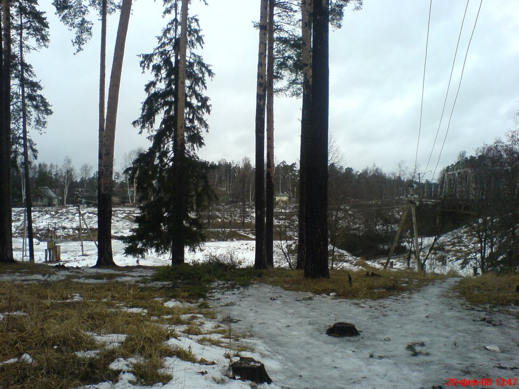 Берег