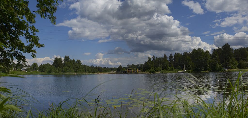 Power plant
