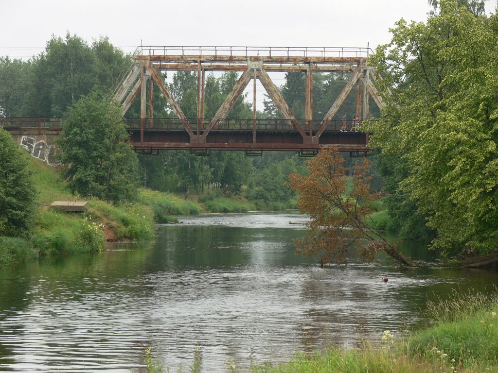 Оредеж, старый мост
