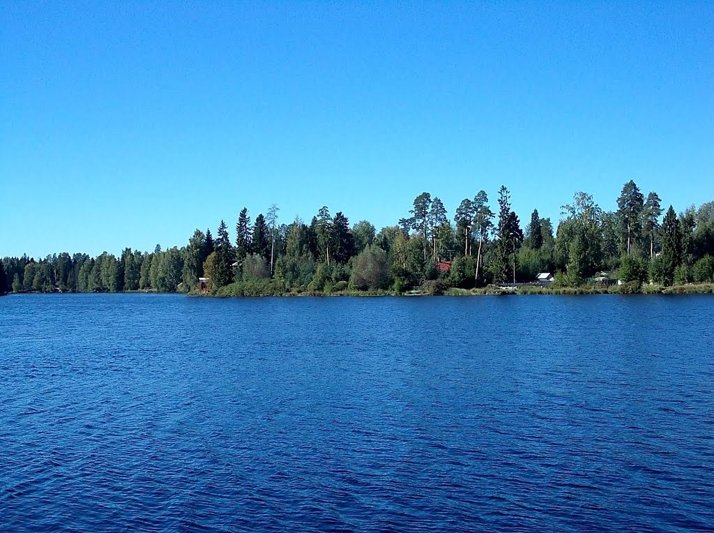 Берег водохранилища
