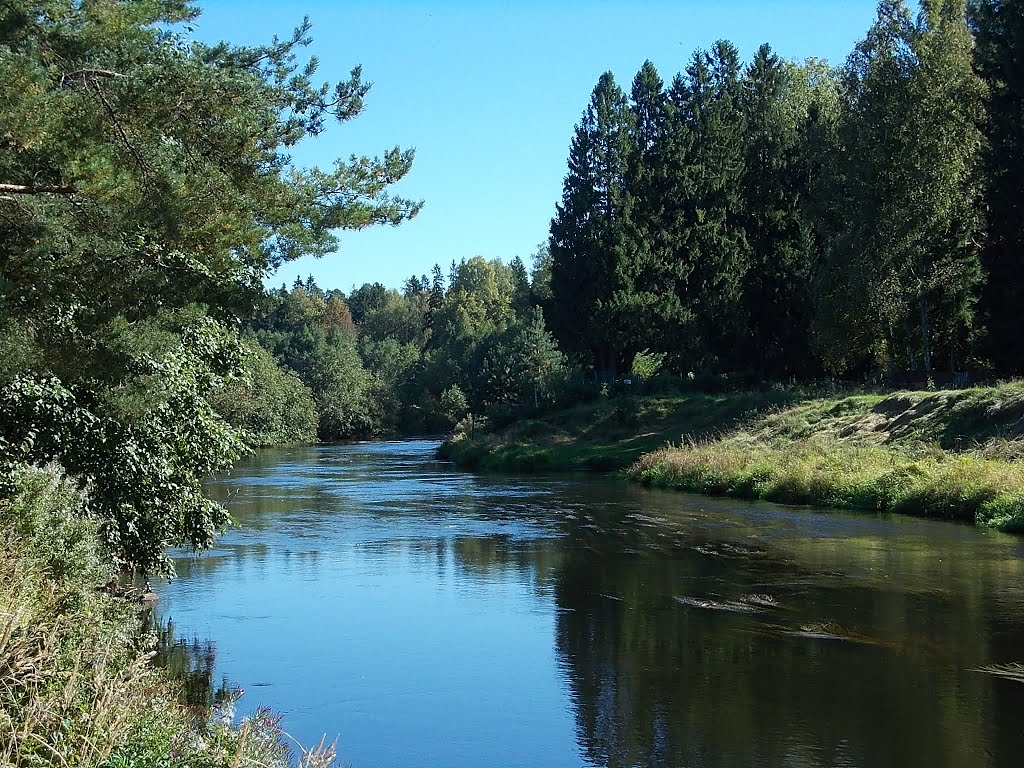 Река Оредеж